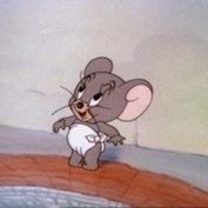 Meet your Posher, Stella